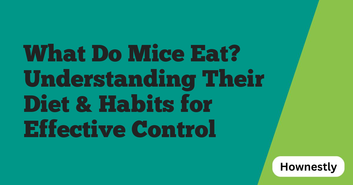 What Do Mice Eat? Understanding Their Diet & Habits for Effective Control