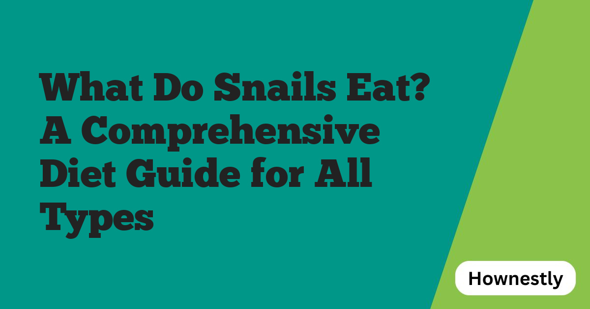 What Do Snails Eat? A Comprehensive Diet Guide for All Types