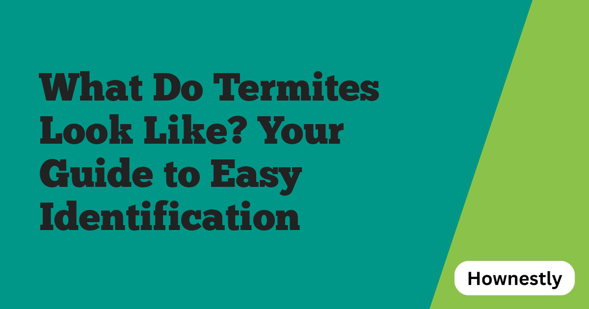 What Do Termites Look Like? Your Guide to Easy Identification