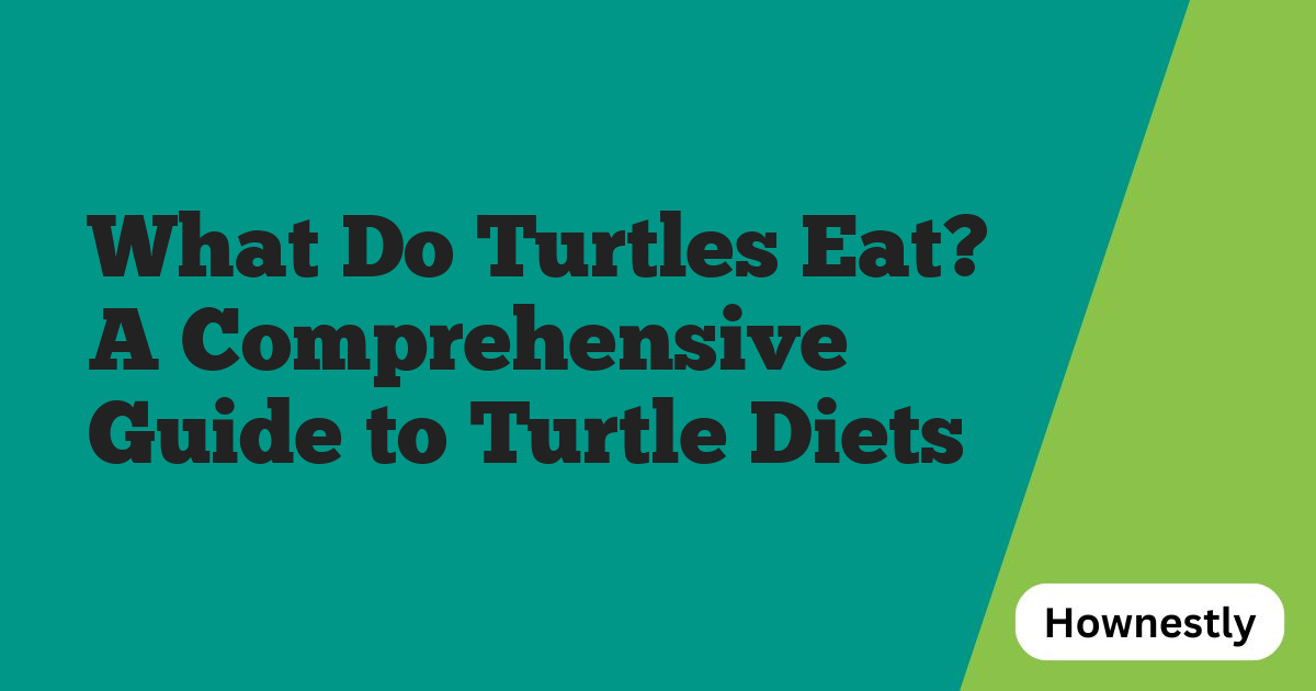 What Do Turtles Eat? A Comprehensive Guide to Turtle Diets