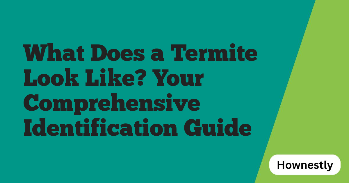 What Does a Termite Look Like? Your Comprehensive Identification Guide