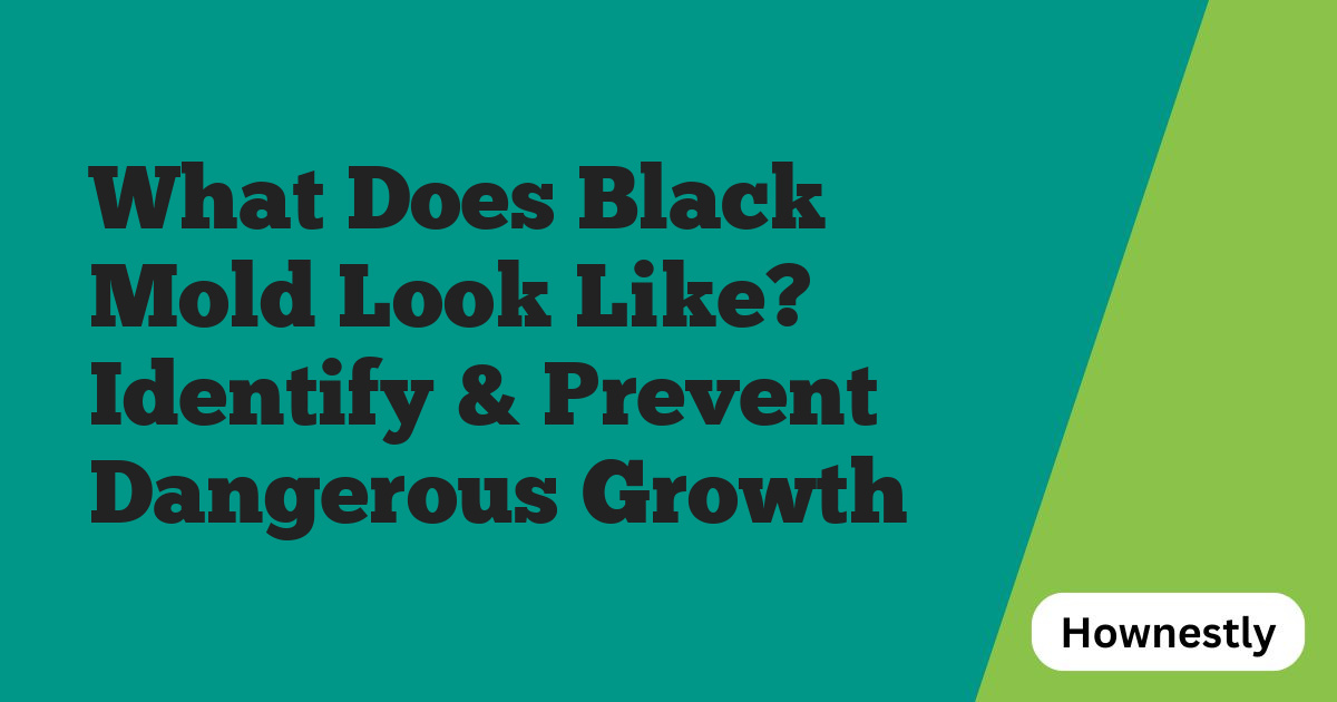 What Does Black Mold Look Like? Identify & Prevent Dangerous Growth