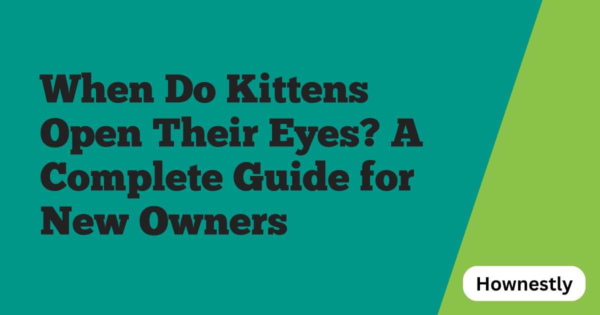 When Do Kittens Open Their Eyes? A Complete Guide for New Owners