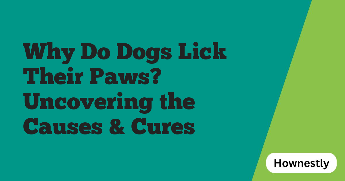 Why Do Dogs Lick Their Paws? Uncovering the Causes & Cures