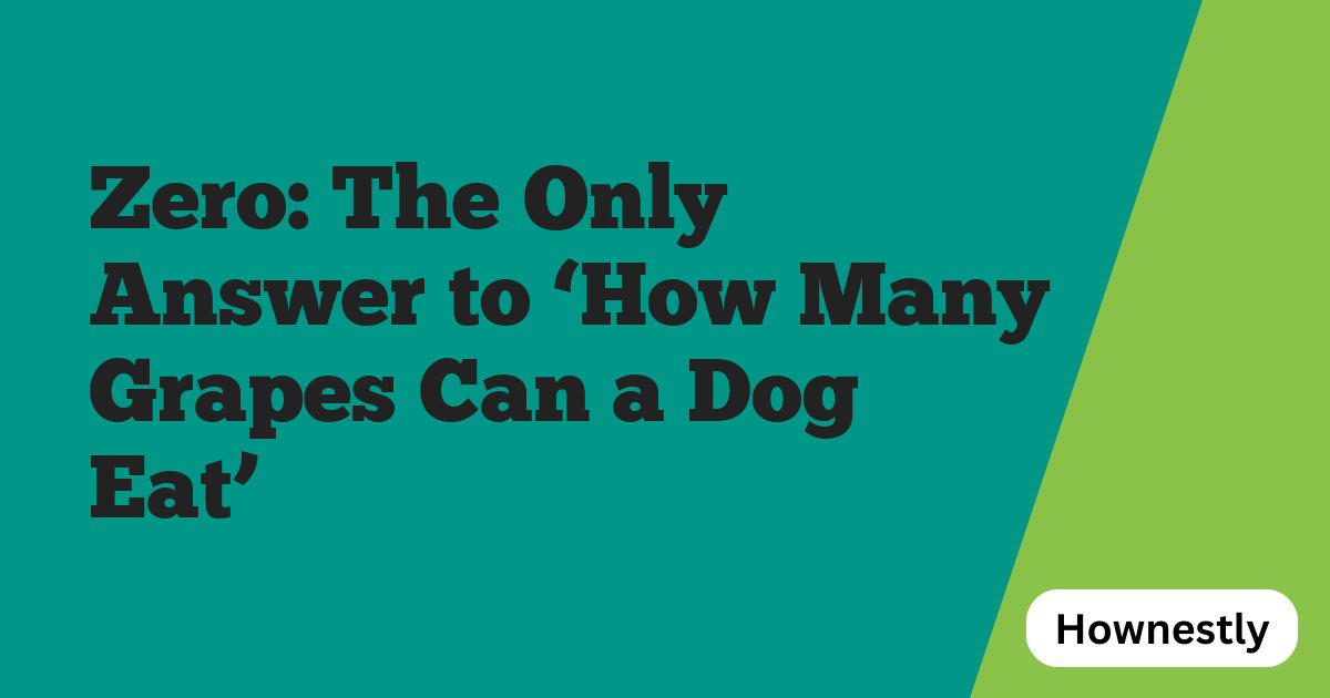Zero: The Only Answer to ‘How Many Grapes Can a Dog Eat’