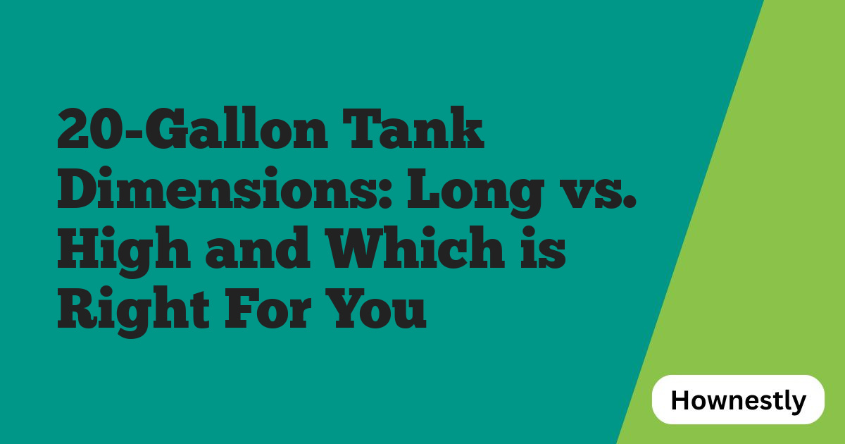 20-Gallon Tank Dimensions: Long vs. High and Which is Right For You