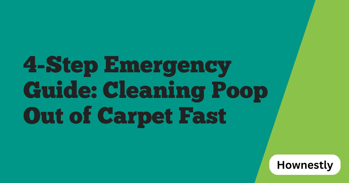 4-Step Emergency Guide: Cleaning Poop Out of Carpet Fast