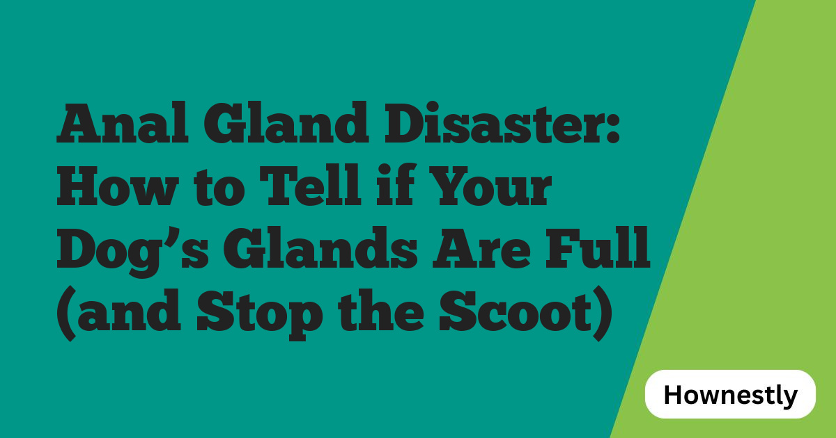 Anal Gland Disaster: How to Tell if Your Dog’s Glands Are Full (and Stop the Scoot)