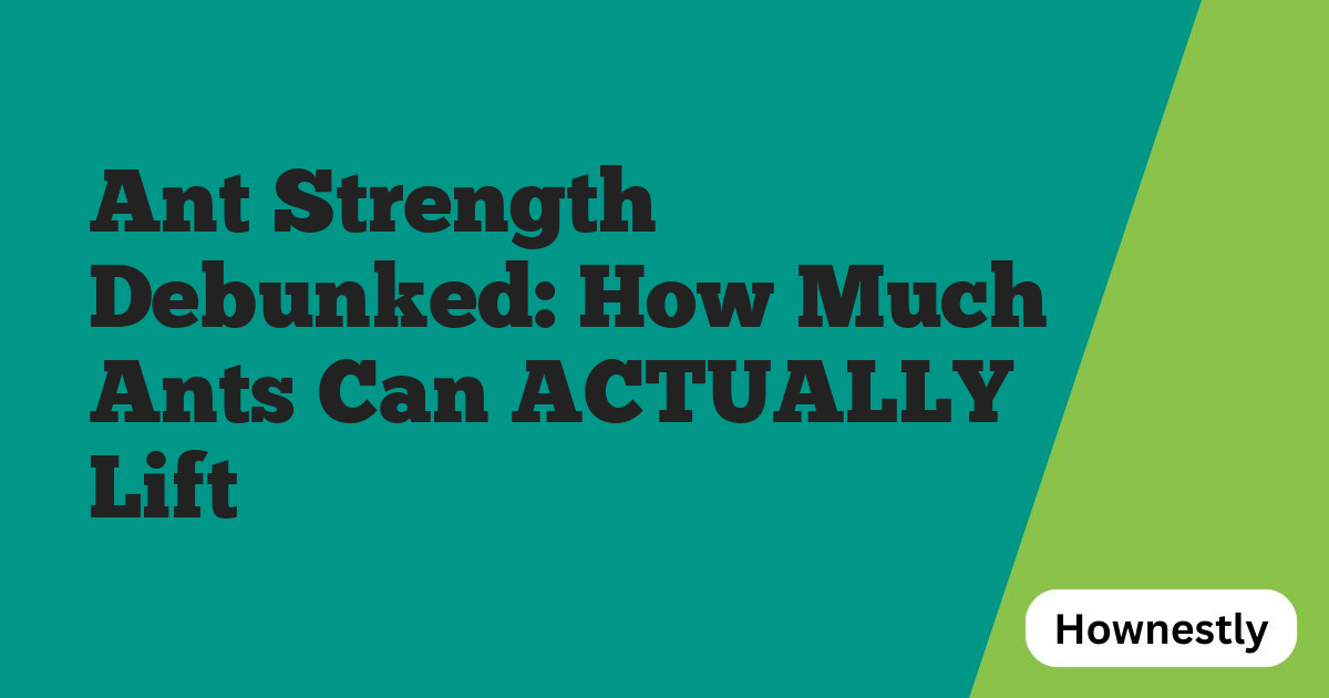 Ant Strength Debunked: How Much Ants Can ACTUALLY Lift