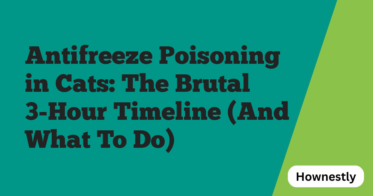 Antifreeze Poisoning in Cats: The Brutal 3-Hour Timeline (And What To Do)