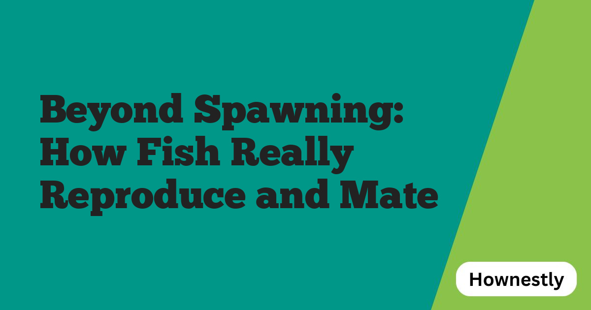 Beyond Spawning: How Fish Really Reproduce and Mate