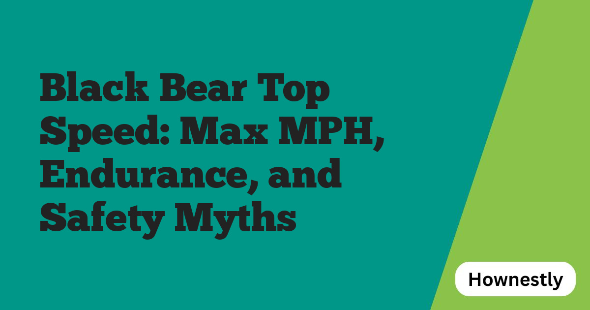 Black Bear Top Speed: Max MPH, Endurance, and Safety Myths
