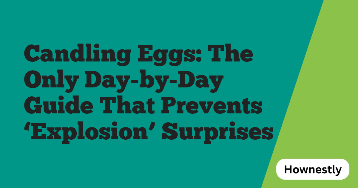 Candling Eggs: The Only Day-by-Day Guide That Prevents ‘Explosion’ Surprises