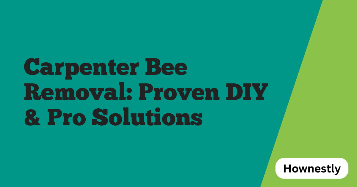 Carpenter Bee Removal: Proven DIY & Pro Solutions