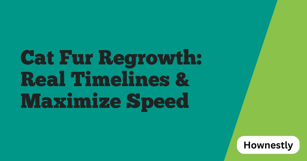 Cat Fur Regrowth: Real Timelines & Maximize Speed