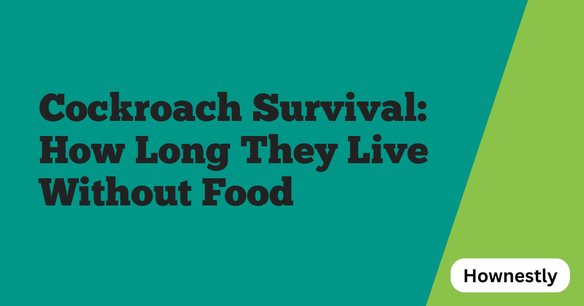 Cockroach Survival: How Long They Live Without Food