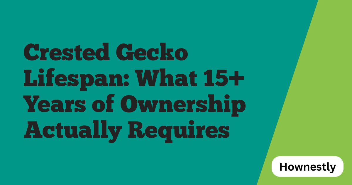 Crested Gecko Lifespan: What 15+ Years of Ownership Actually Requires