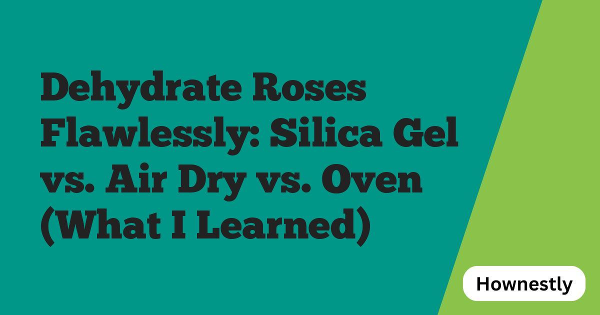 Dehydrate Roses Flawlessly: Silica Gel vs. Air Dry vs. Oven (What I Learned)