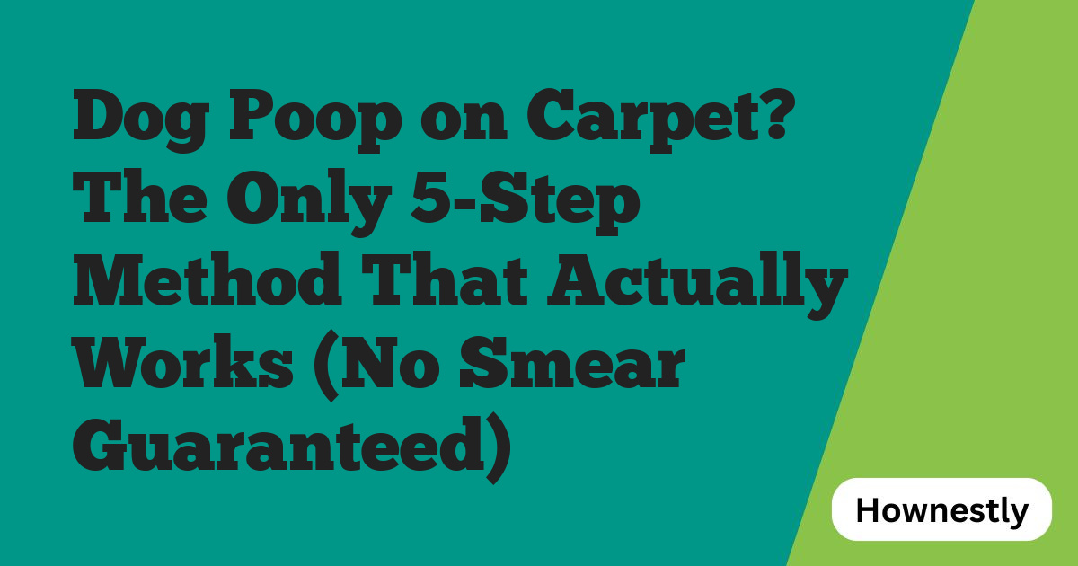 Dog Poop on Carpet? The Only 5-Step Method That Actually Works (No Smear Guaranteed)