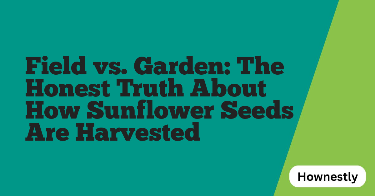 Field vs. Garden: The Honest Truth About How Sunflower Seeds Are Harvested