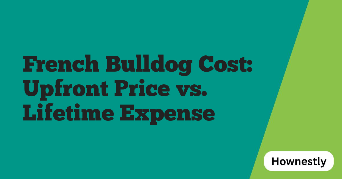 French Bulldog Cost: Upfront Price vs. Lifetime Expense
