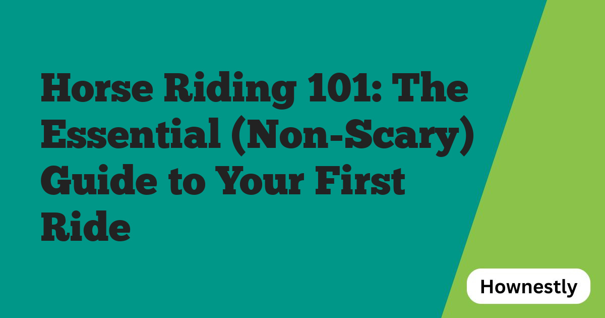 Horse Riding 101: The Essential (Non-Scary) Guide to Your First Ride