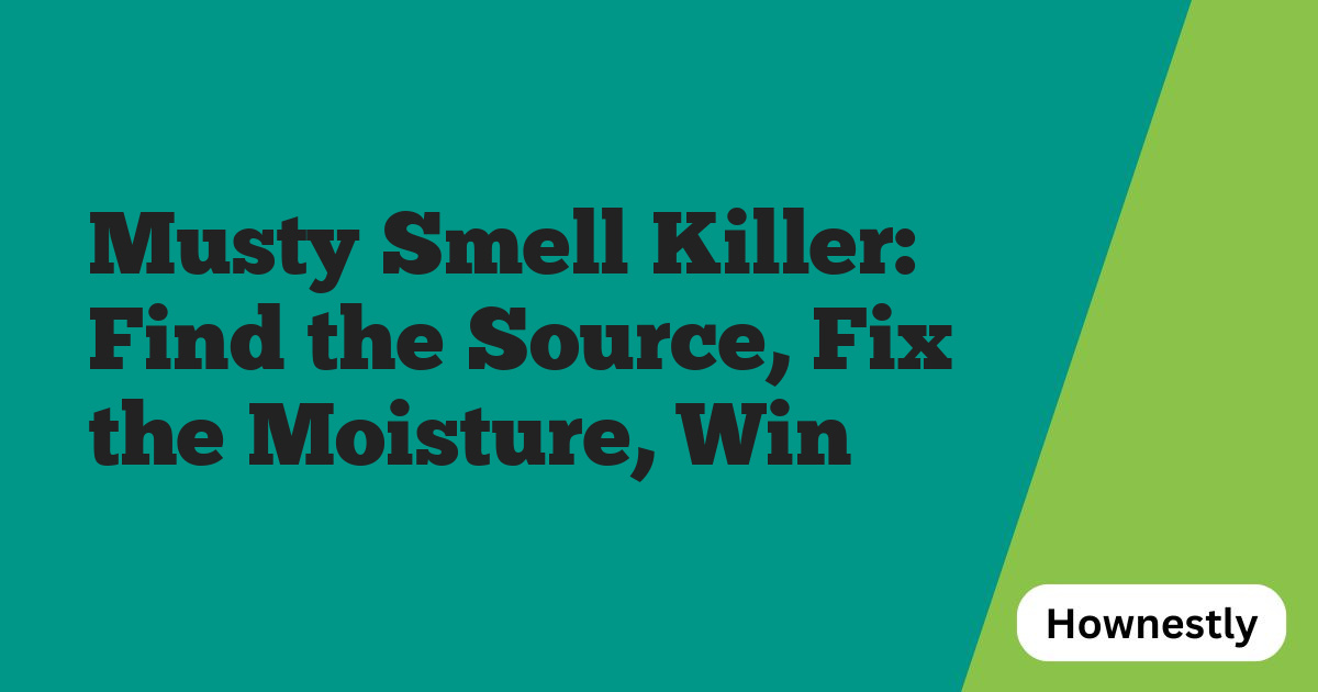 Musty Smell Killer: Find the Source, Fix the Moisture, Win
