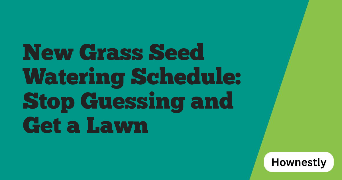 New Grass Seed Watering Schedule: Stop Guessing and Get a Lawn