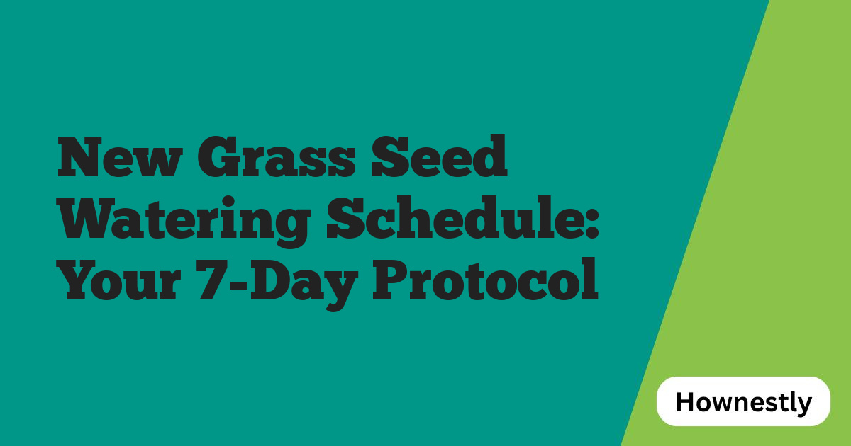 New Grass Seed Watering Schedule: Your 7-Day Protocol