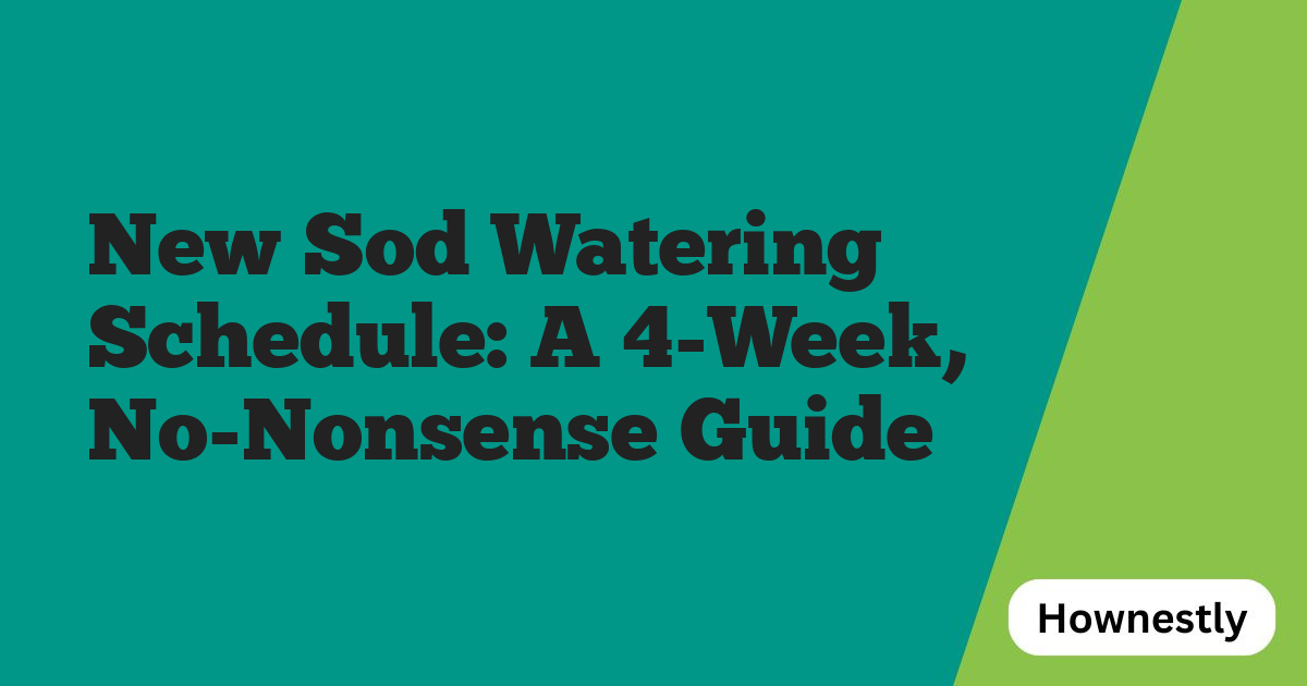 New Sod Watering Schedule: A 4-Week, No-Nonsense Guide