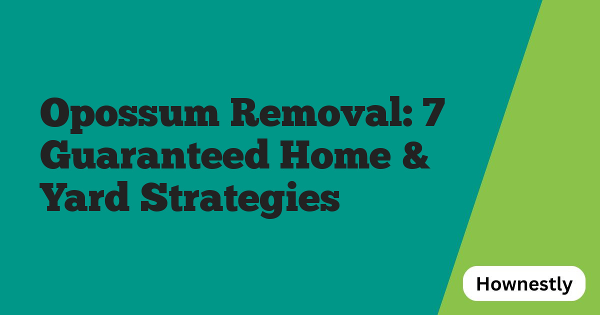 Opossum Removal: 7 Guaranteed Home & Yard Strategies