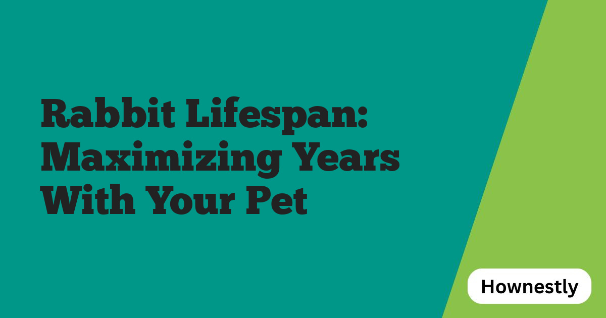 Rabbit Lifespan: Maximizing Years With Your Pet