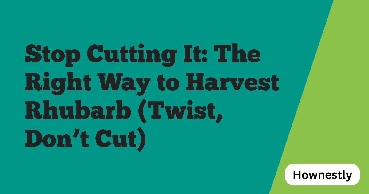 Stop Cutting It: The Right Way to Harvest Rhubarb (Twist, Don’t Cut)