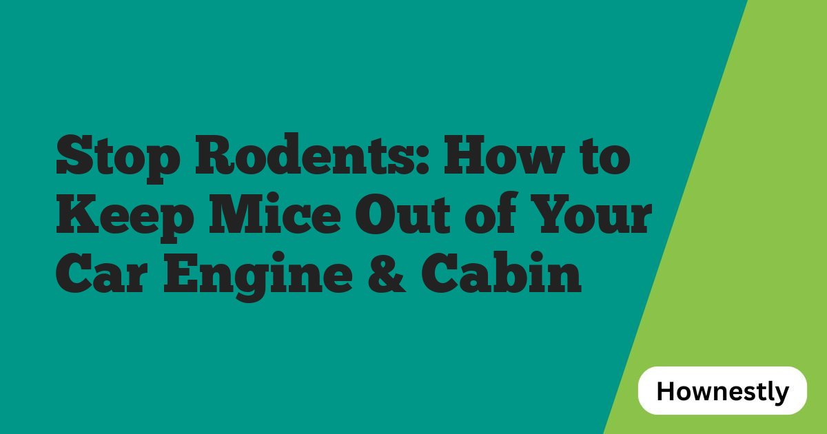 Stop Rodents: How to Keep Mice Out of Your Car Engine & Cabin