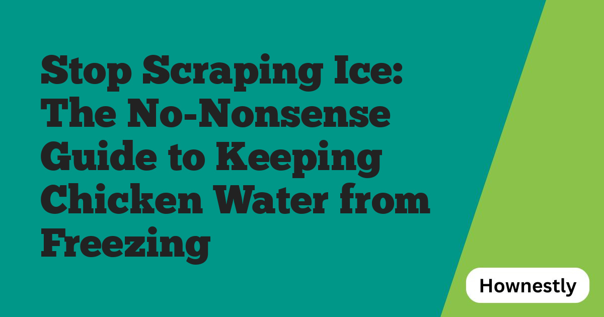Stop Scraping Ice: The No-Nonsense Guide to Keeping Chicken Water from Freezing