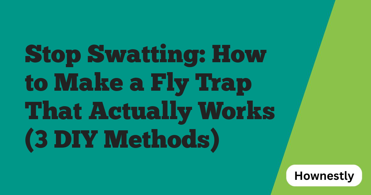 Stop Swatting: How to Make a Fly Trap That Actually Works (3 DIY Methods)