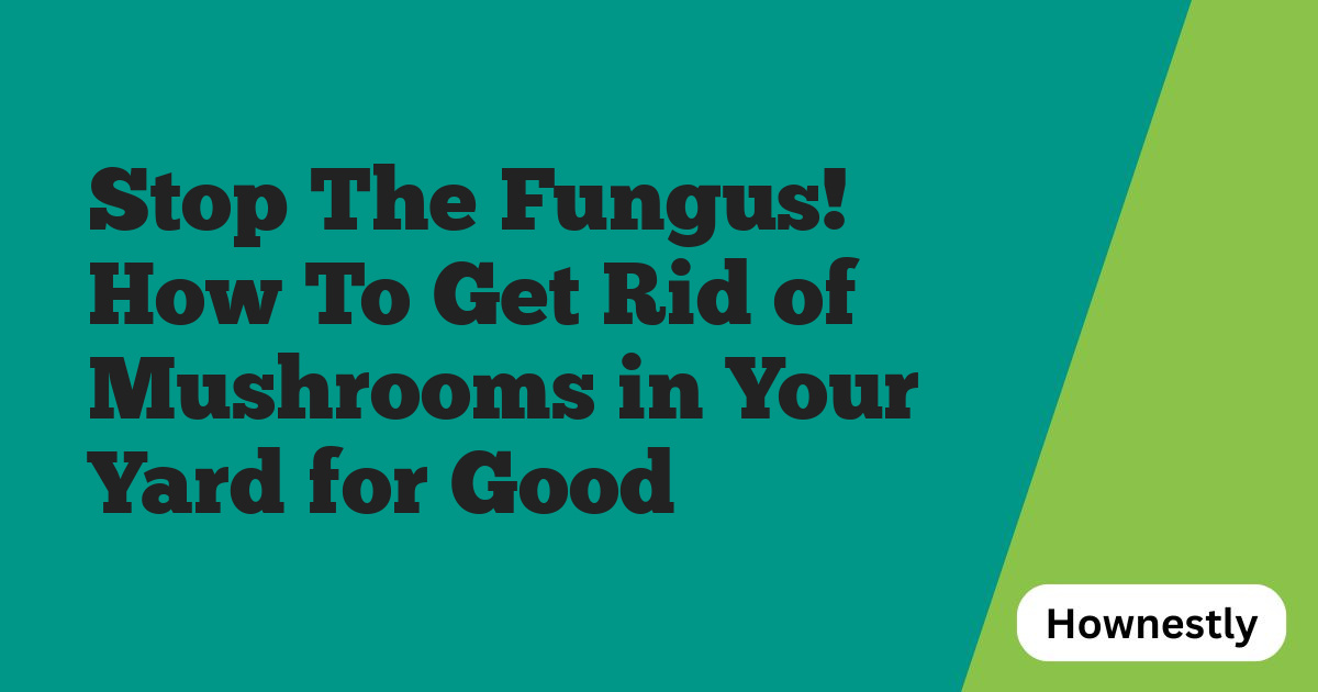 Stop The Fungus! How To Get Rid of Mushrooms in Your Yard for Good