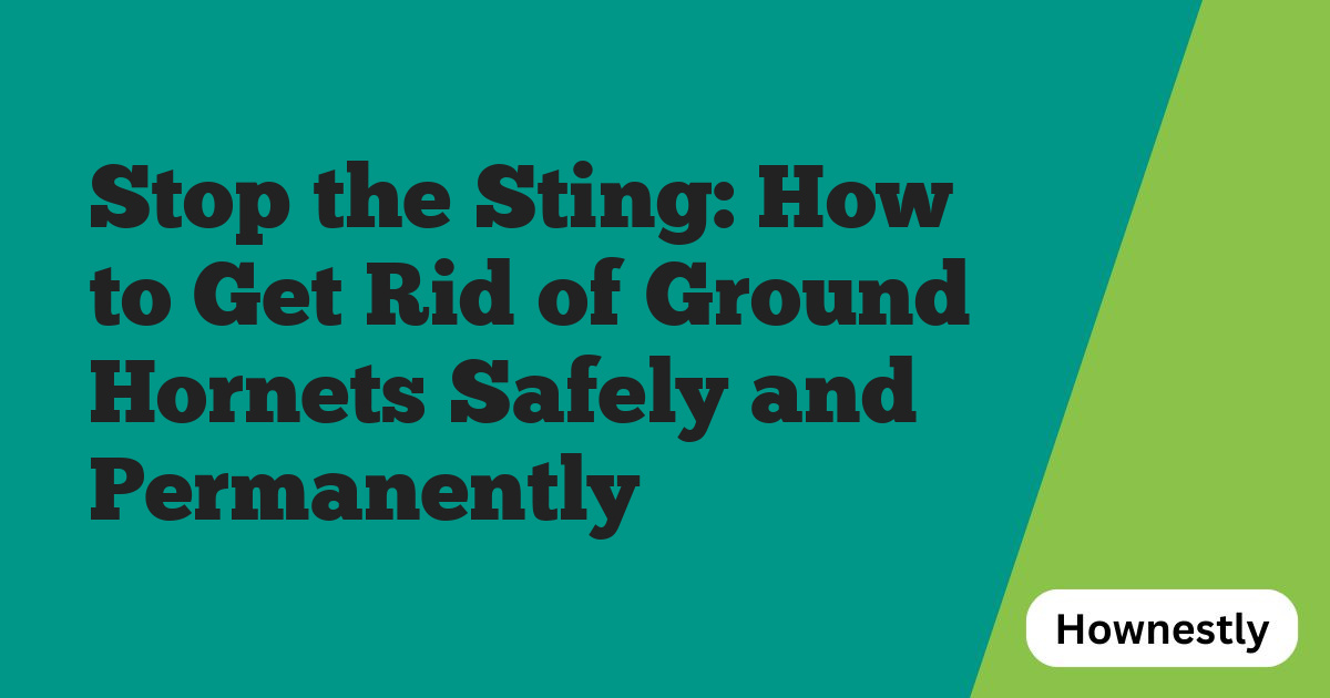 Stop the Sting: How to Get Rid of Ground Hornets Safely and Permanently