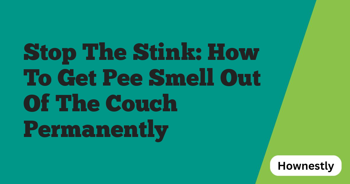 Stop The Stink: How To Get Pee Smell Out Of The Couch Permanently