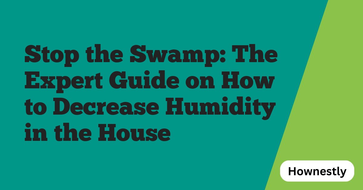 Stop the Swamp: The Expert Guide on How to Decrease Humidity in the House