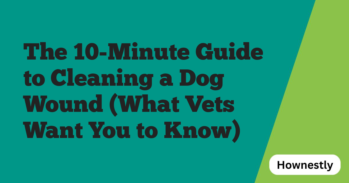 The 10-Minute Guide to Cleaning a Dog Wound (What Vets Want You to Know)