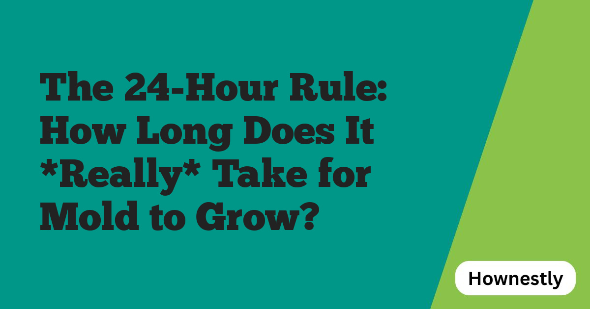 The 24-Hour Rule: How Long Does It *Really* Take for Mold to Grow?