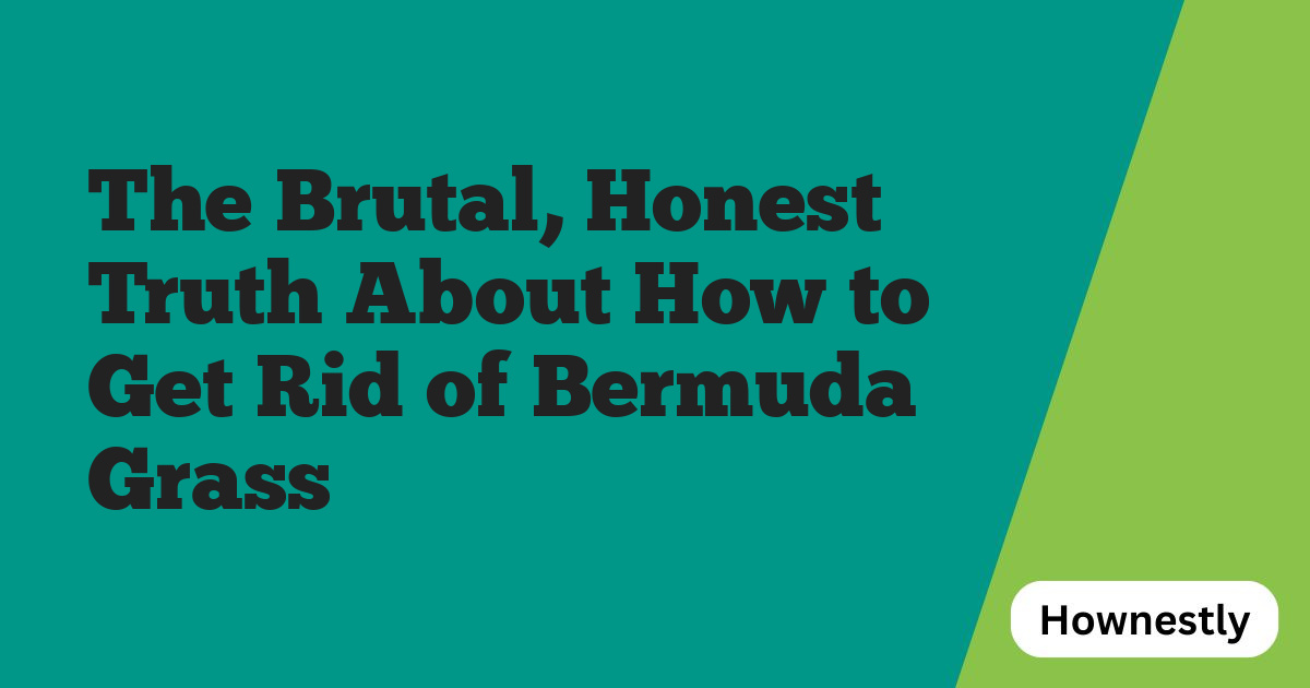 The Brutal, Honest Truth About How to Get Rid of Bermuda Grass