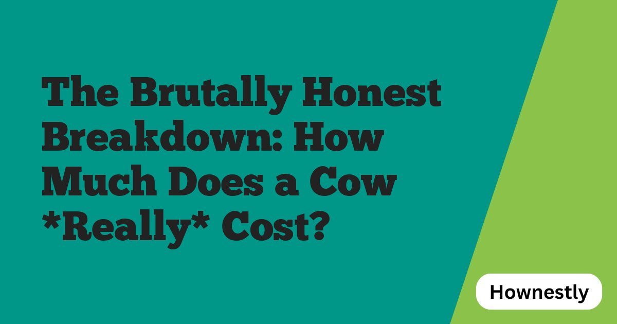 The Brutally Honest Breakdown: How Much Does a Cow *Really* Cost?