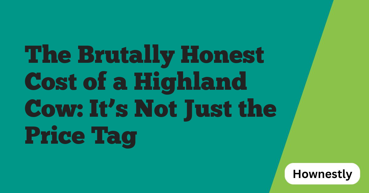 The Brutally Honest Cost of a Highland Cow: It’s Not Just the Price Tag