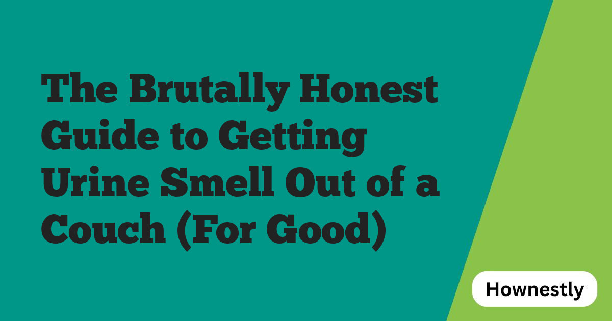 The Brutally Honest Guide to Getting Urine Smell Out of a Couch (For Good)