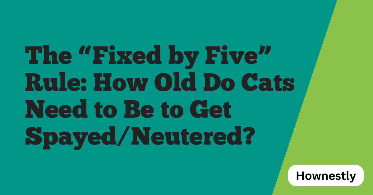 The “Fixed by Five” Rule: How Old Do Cats Need to Be to Get Spayed/Neutered?