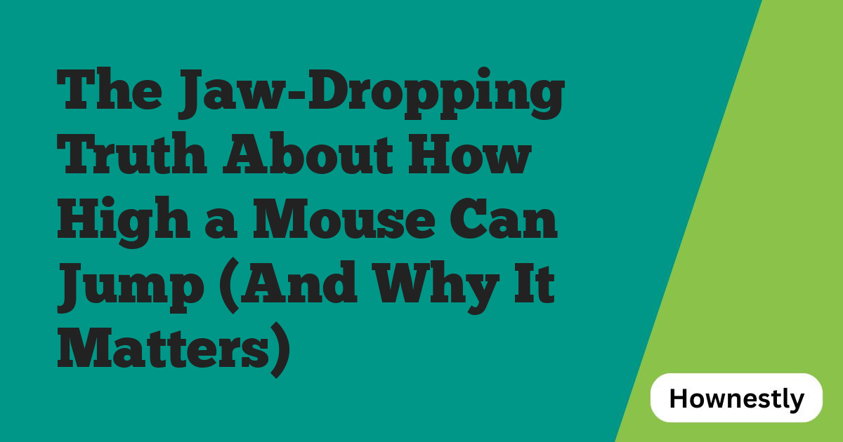 The Jaw-Dropping Truth About How High a Mouse Can Jump (And Why It Matters)