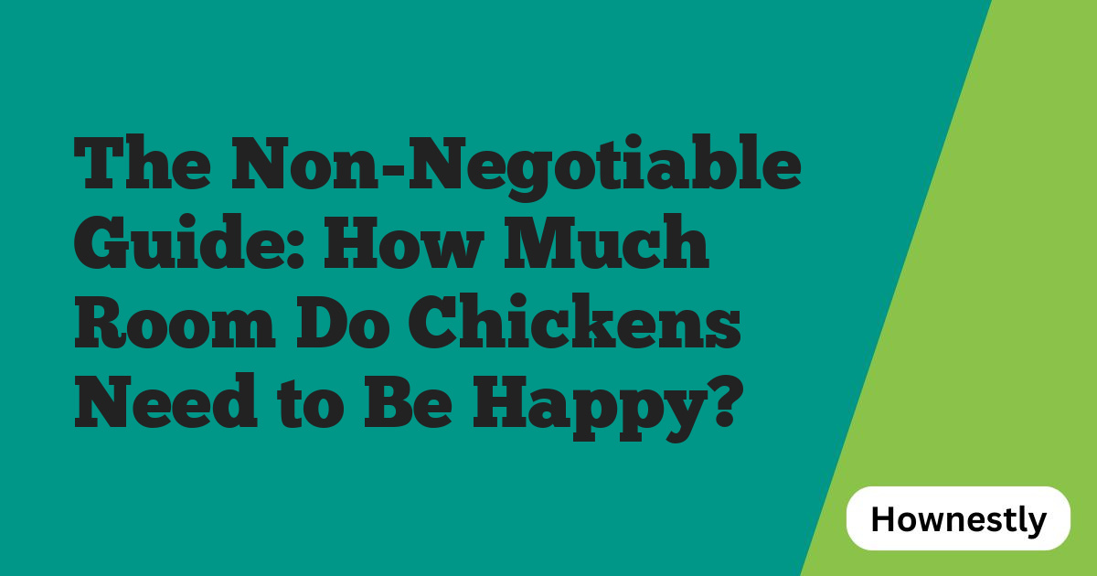 The Non-Negotiable Guide: How Much Room Do Chickens Need to Be Happy?