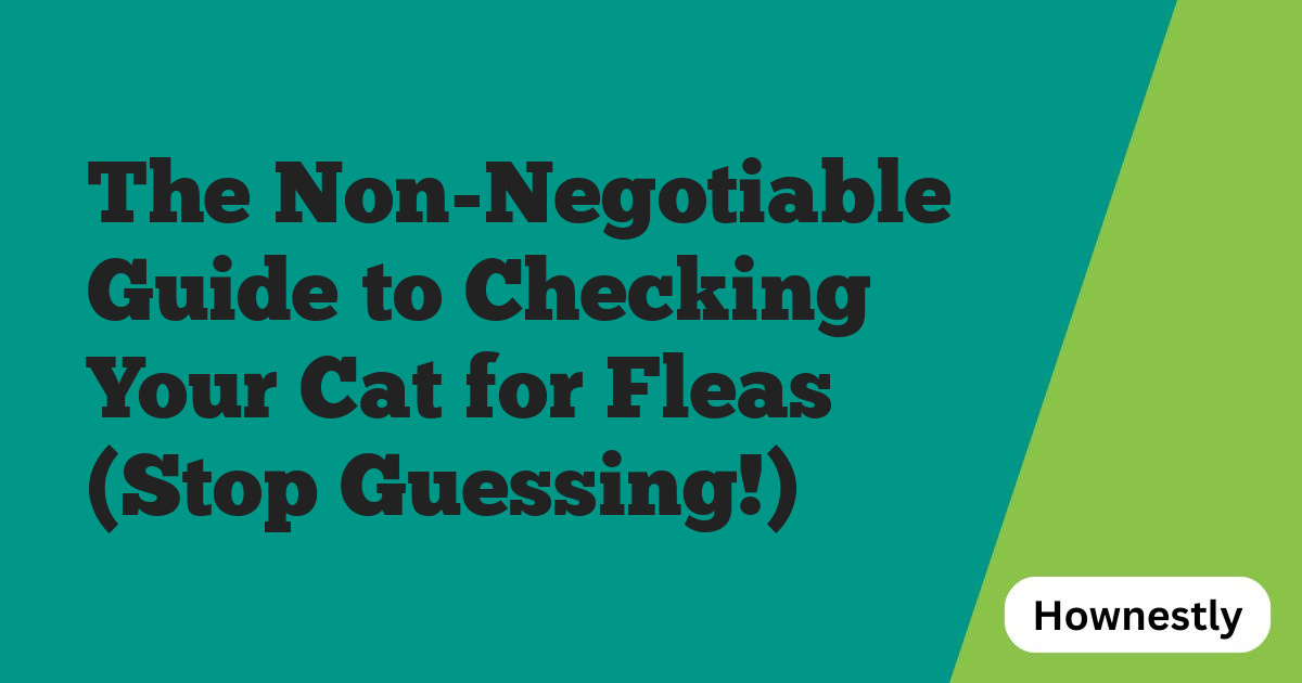 The Non-Negotiable Guide to Checking Your Cat for Fleas (Stop Guessing!)